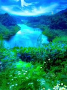 逃出蜜蜂岛