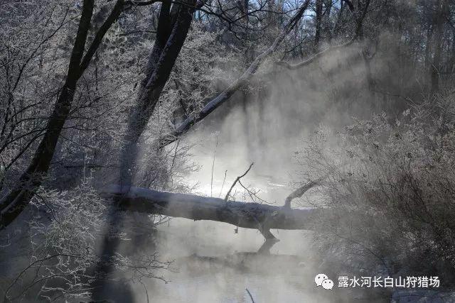 栅栏迷宫