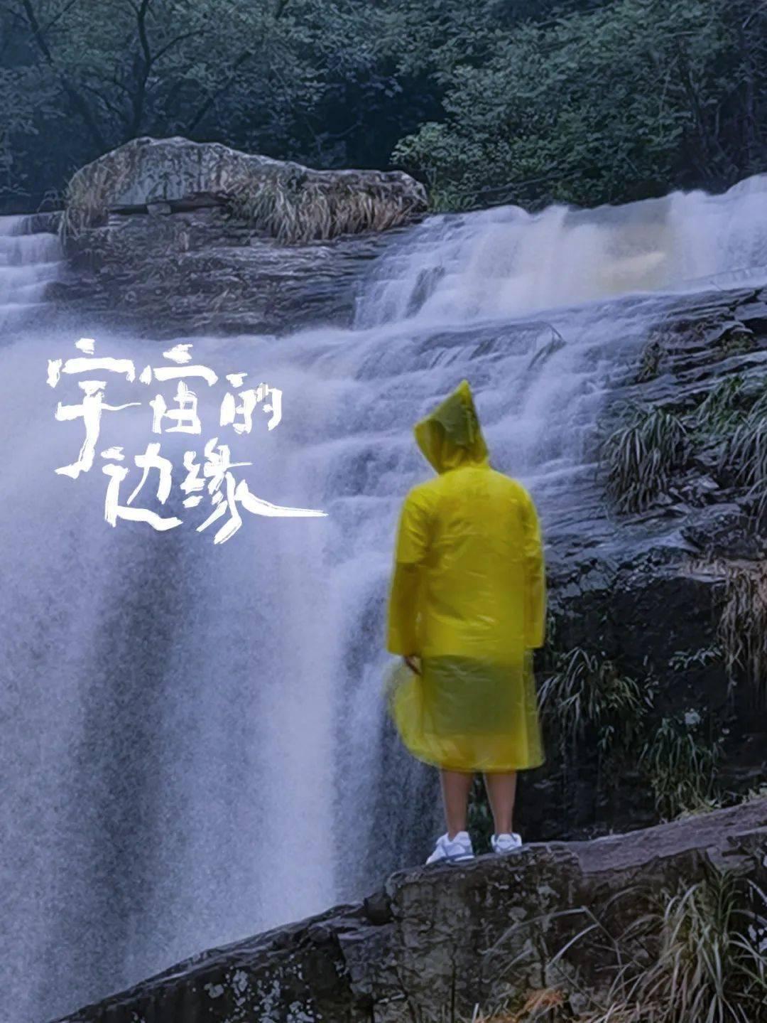 植物大战僵尸17