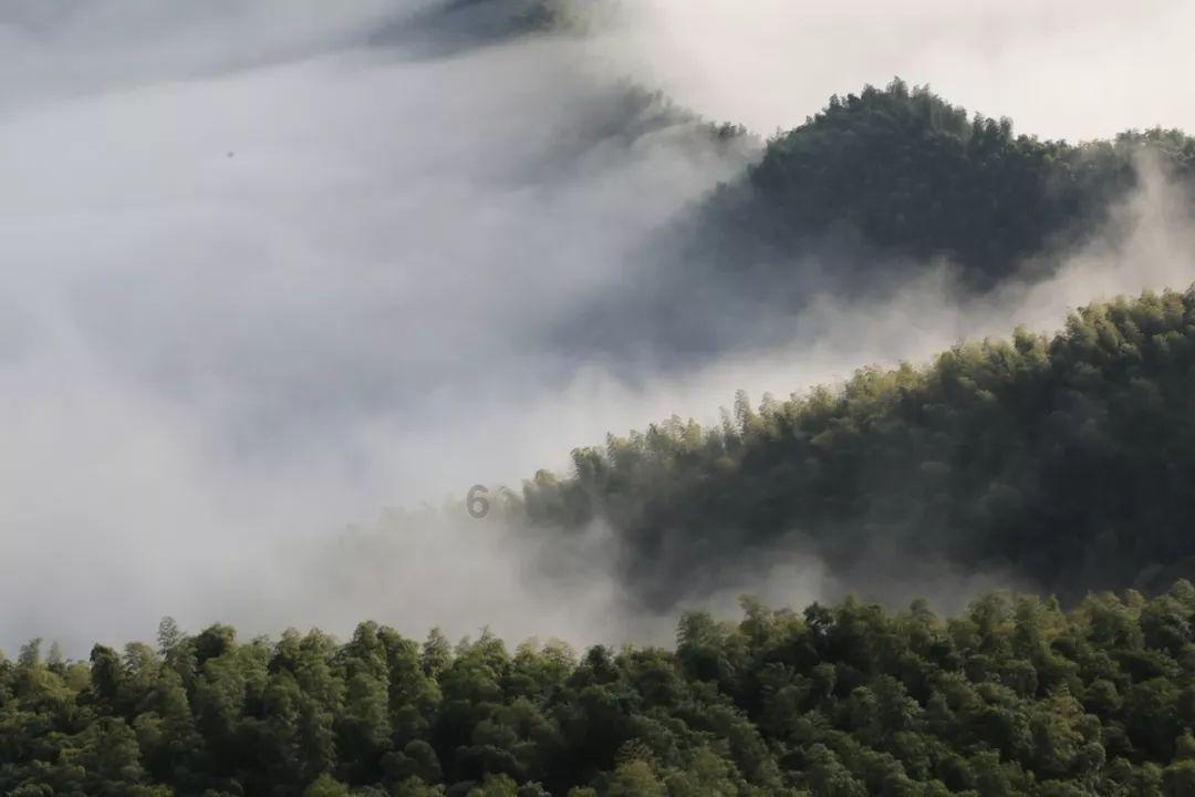 “江疏影没来”刷屏！A股上热搜，原因找到了