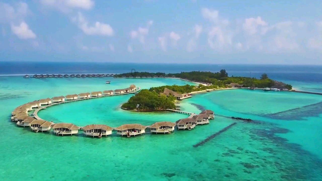宠物训导师怎么考?报考难度大吗?含金量高吗?