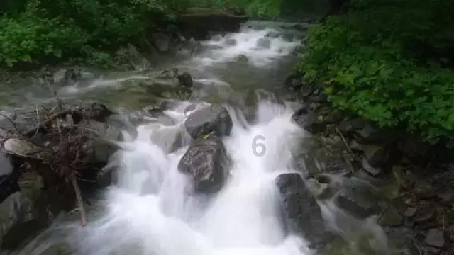 今日上海，是否“繁花”依旧