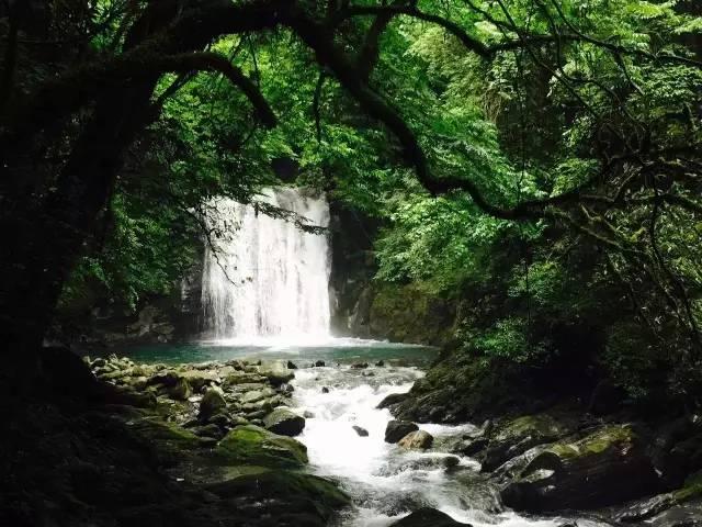幻想纹章2.2