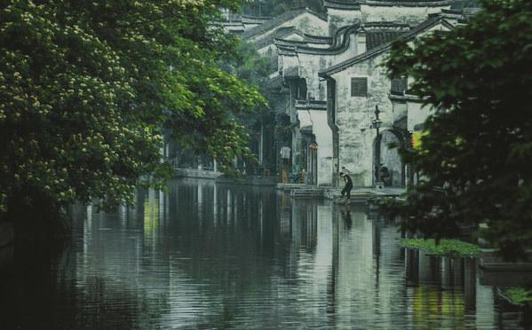 逗小猴开心系列202