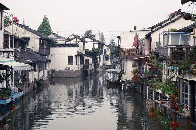 怪物大拼图